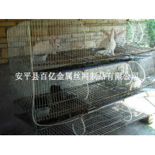 Cheap Industrial Mother and Baby Rabbit Cage